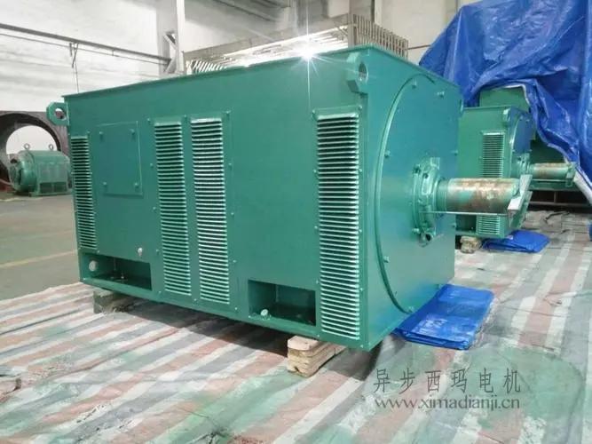 西瑪電機(jī)Y5603-10 560KW <a href=http://m.qdnjzz.com/new/new-47-621.html target='_blank'><a href=http://m.qdnjzz.com/new_tags_225.html target='_blank'>10kv高壓電機(jī)</a></a>